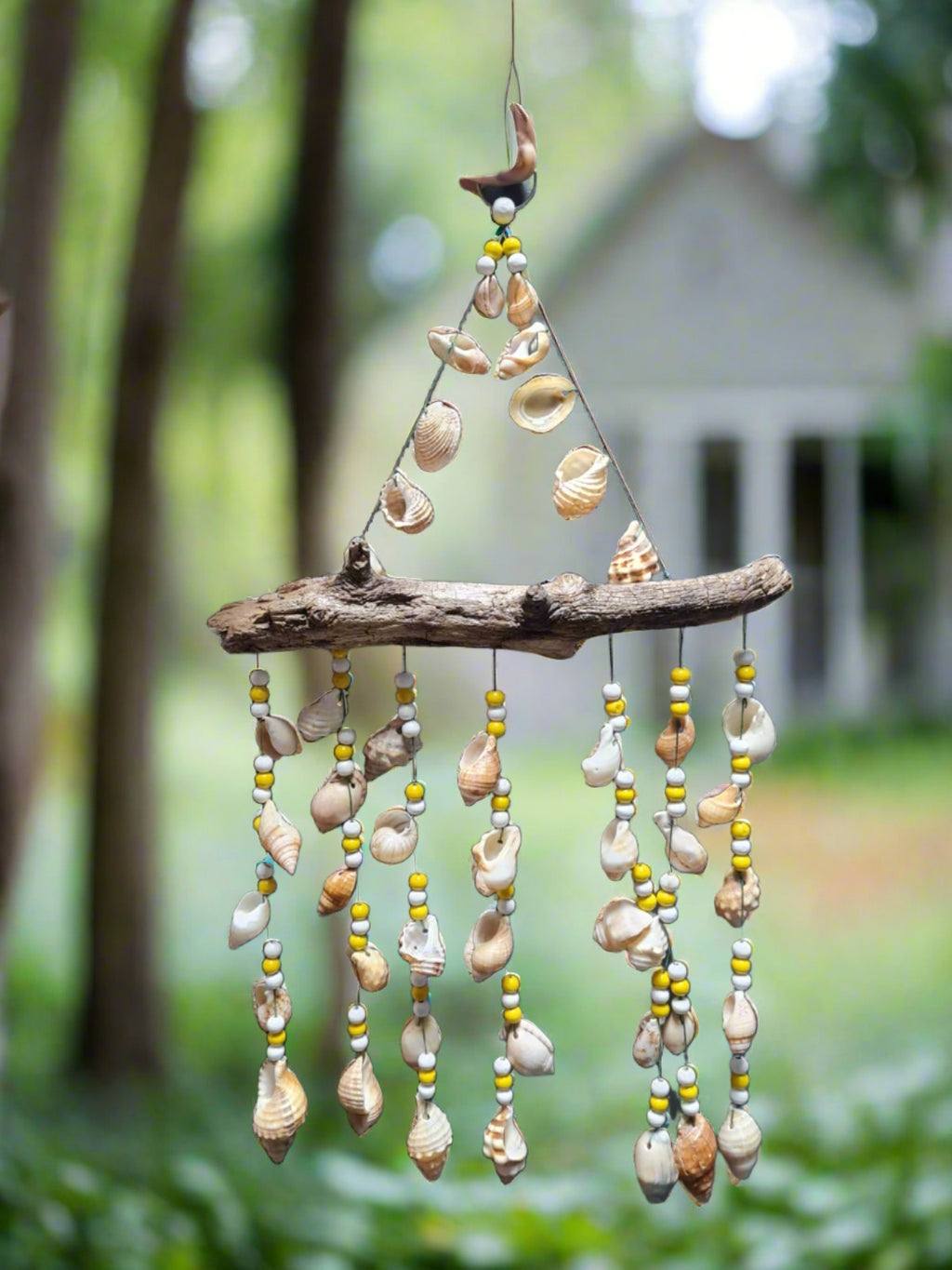 Seashell wind chime