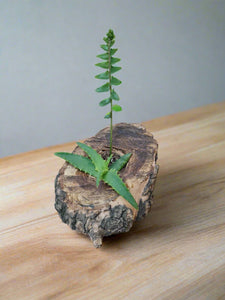 Log planter