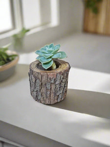 Log planter