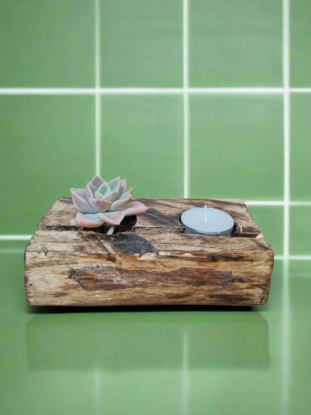 Log planter and candle holder