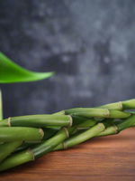 Load image into Gallery viewer, Lucky Bamboo Braded
